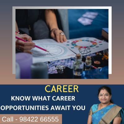 Best astrologer for career guidance - Coimbatore Other