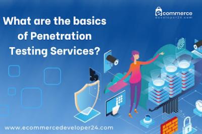 What are the basics of Penetration testing Services? - Ahmedabad Other