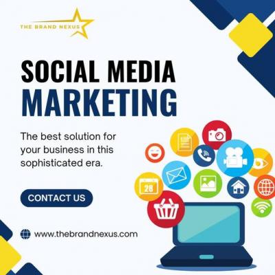 Social media marketing services India - Delhi Professional Services