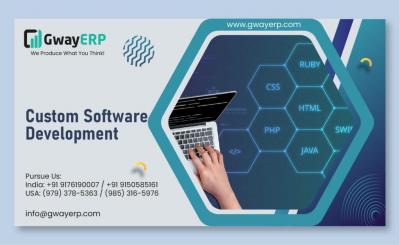 Top  ERP Custom-Built Software Development - Chennai Other