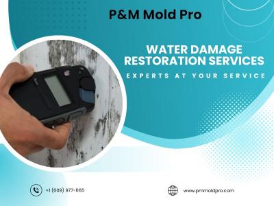 Fast and Reliable Water Damage Restoration Services - Other Other
