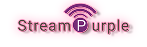 PTZ Camera Control | Streampurple - Delhi Other