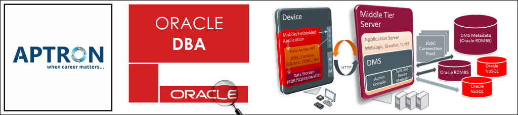 Oracle DBA Training Institute in Noida