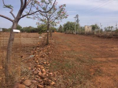 DTCP APPROVED PLOTS FOR SALE AT POONDI - Chennai Plots & Open Lands