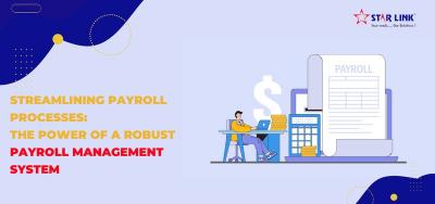 Streamlining Payroll Processes: The Power of a Robust Payroll Management System - Delhi Electronics