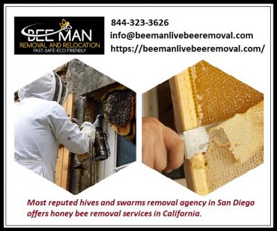 San Clemente's swarms removal company - San Diego Other