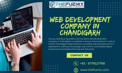 Web Development Company in Chandigarh | TheFuenix