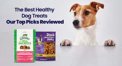 The Best Healthy Dog Treats: Our Top Picks Reviewed - New York Animal, Pet Services
