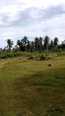 1077 sq m LOT FOR SALE -Samal Island (IGACOS) - 2.9M , Babak Area  - near highway - Davao City Plots & Open Lands