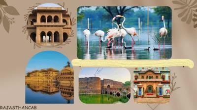 Udaipur Tour Packages from Delhi - Jaipur Other