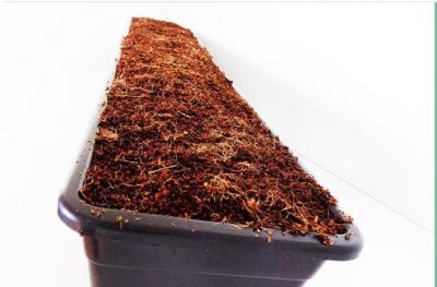 Obtain 100% organic and nutrient-balanced medium of coco coir for hydroponics - Other Home & Garden