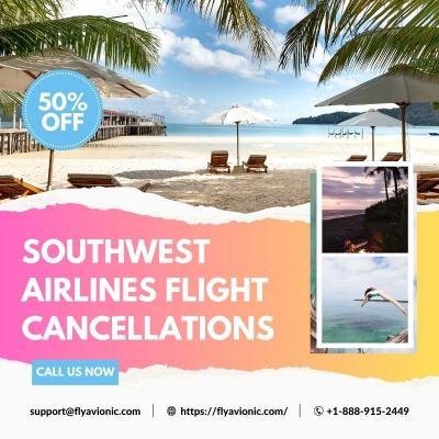 Southwest Airlines Flight Cancellations - New York Other