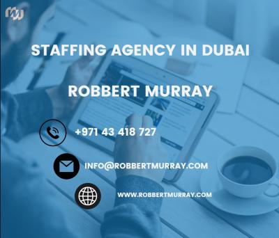 Offshore recruitment agencies in UAE - Dubai Professional Services