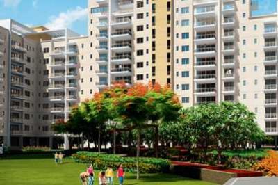 Real Estate 3 BHK Property in Gurgaon - Gurgaon Commercial
