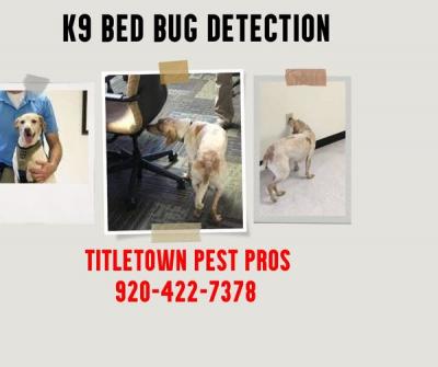 Safe and Effective Pest Control for Your Commercial Property - Los Angeles Computer