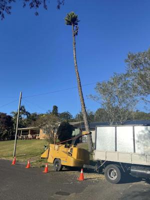 Best Tree removal services in North Avoca - Melbourne Professional Services