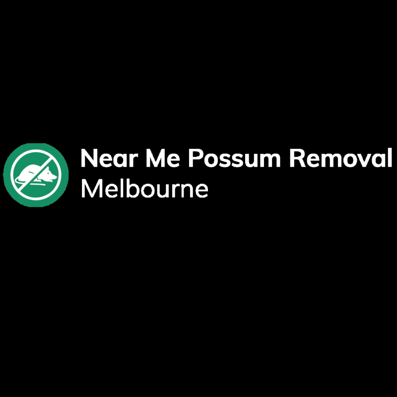 Near Me Possum Removal Melbourne | Professional Possum Removal Services  - Melbourne Professional Services