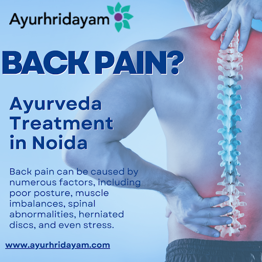 Alleviating Back Pain Naturally With Ayurveda Treatment - Delhi Health, Personal Trainer