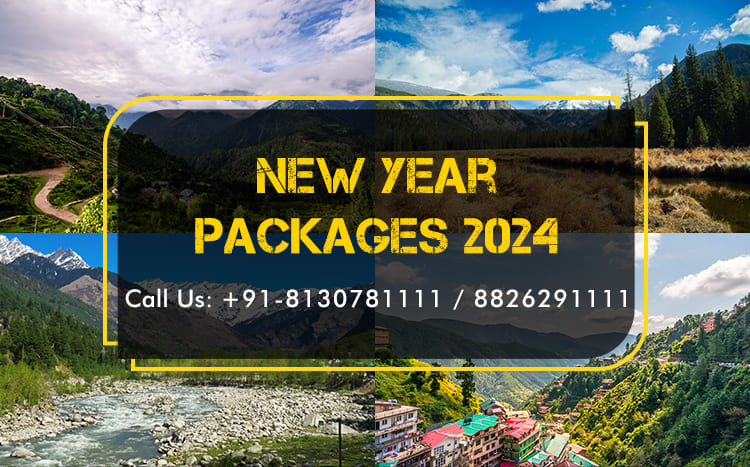 New Year Party 2024 | New Year Packages in Dehradun - Chandigarh Events, Photography