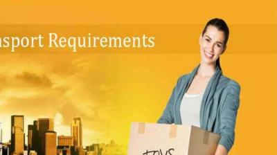 Packers and Movers in Noida - Delhi Other