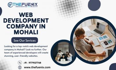 Web Development Company in Mohali | TheFuenix