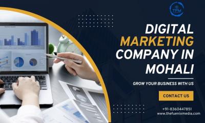 Digital Marketing Company in Mohali | TheFuenix Media