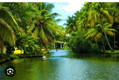 Kerala Tour Package - Faridabad Other