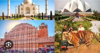 Golden Triangle Tour with Ranthambore - Faridabad Other