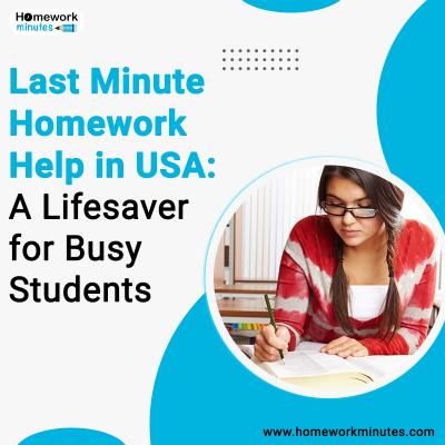 Last Minute Homework Help in USA: A Lifesaver for Busy Students - Other Tutoring, Lessons