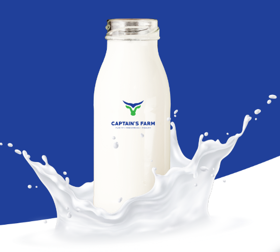 Buy A2 Cow Milk Mumbai, Navi Mumbai| Home Delivery | Captain's Farm - Mumbai Other
