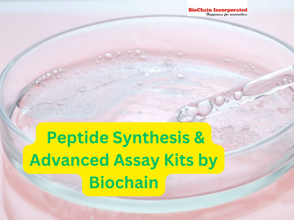 Peptide Synthesis & Advanced Assay Kits by Biochain - Delhi Other