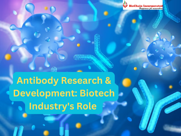 Antibody Research & Development: Biotech Industry's Role 