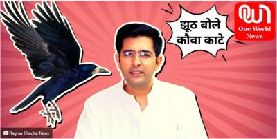 Crows attack Parineeti's future husband, Raghav Chadha - Delhi Other