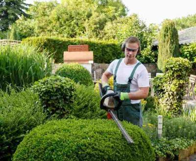 Gardening and Landscaping Services in Bangalore  - Bangalore Other