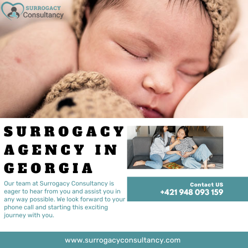 Surrogacy Agency In Georgia - New York Other