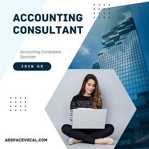 Accounting Consultant Services - Delhi Other