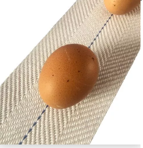 Webbing N Tapes' Egg Conveyor Belt