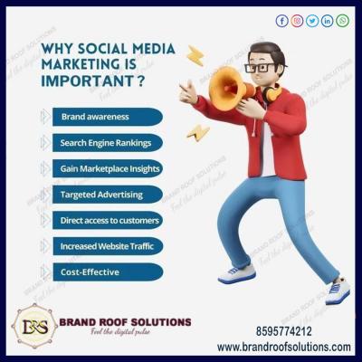 Top 10 Website Designing and Digital Marketing Services Agency in Delhi | Brand Roof Solutions - Delhi Professional Services