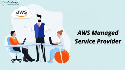AWS Managed Service Provider - New York Other