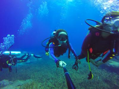Scuba Diving In Murudeshwar - Experience the Thrill with Murdeshwar Adventures - Bangalore Other