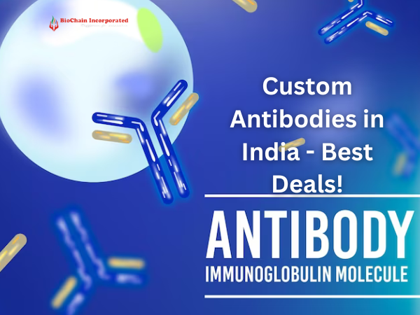 Custom Antibodies in India - Best Deals!
