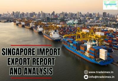 What are Singapore's major exports and imports?