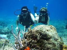 Experience The Best Havelock scuba diving for Nonswimmers - Chandigarh Tutoring, Lessons