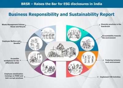 Business Responsibility and Sustainability Reporting (BRSR) - Other Other