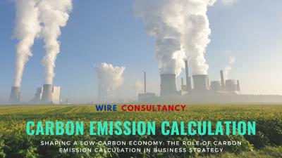 Shaping a Low-Carbon Economy: The Role of Carbon Emission Calculation in Business Strategy - Other Other
