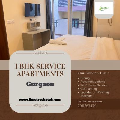 1 BHK Service Apartments in Gurgaon - Gurgaon Other