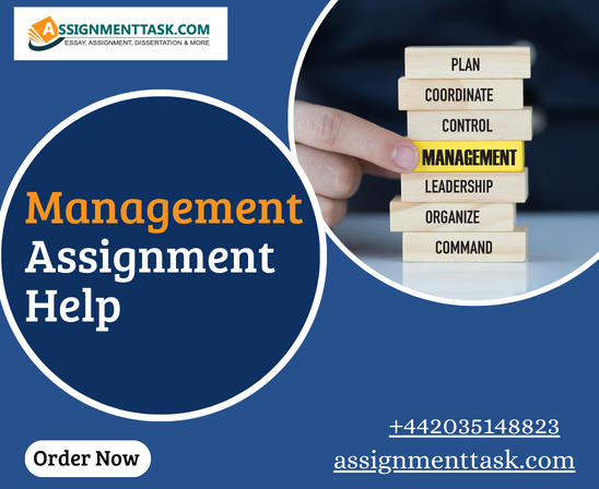 Management Assignment Help 25% OFF Order Now - Dubai Tutoring, Lessons