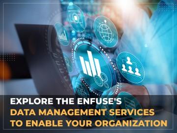 Check out the Data Management Services from EnFuse to Help Your Business - Mumbai Other