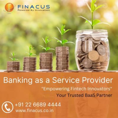 Banking as a Service Provider - Mumbai Other