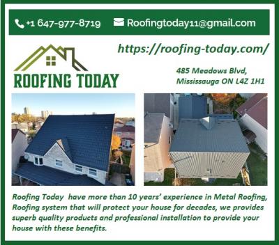 Affordable metal roofing services in Hamilton - Hamilton Other